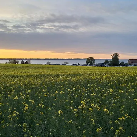 Ostsee-ferienhaus Ramona - Am & Ruhig Dom wakacyjny