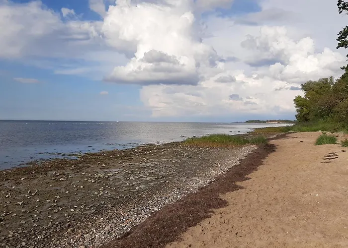 Dom wakacyjny Ostsee-ferienhaus Ramona - Am & Ruhig *